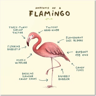 Anatomy of a Flamingo Posters and Art